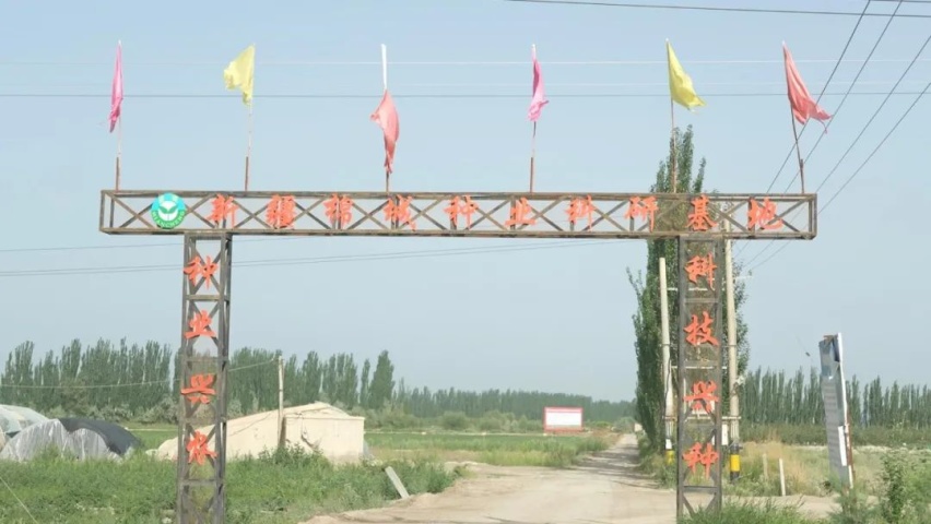 独库公路游古城！新疆自驾攻略（下）