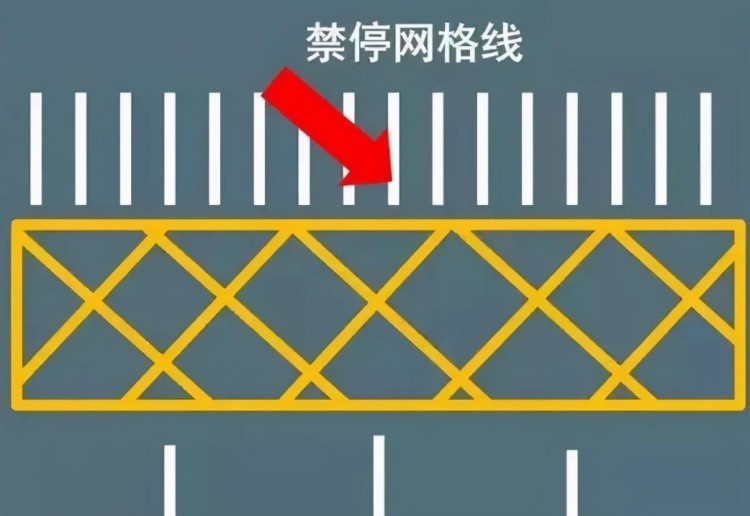 冲上热搜！“礼让行人”的规则，该不该取消？