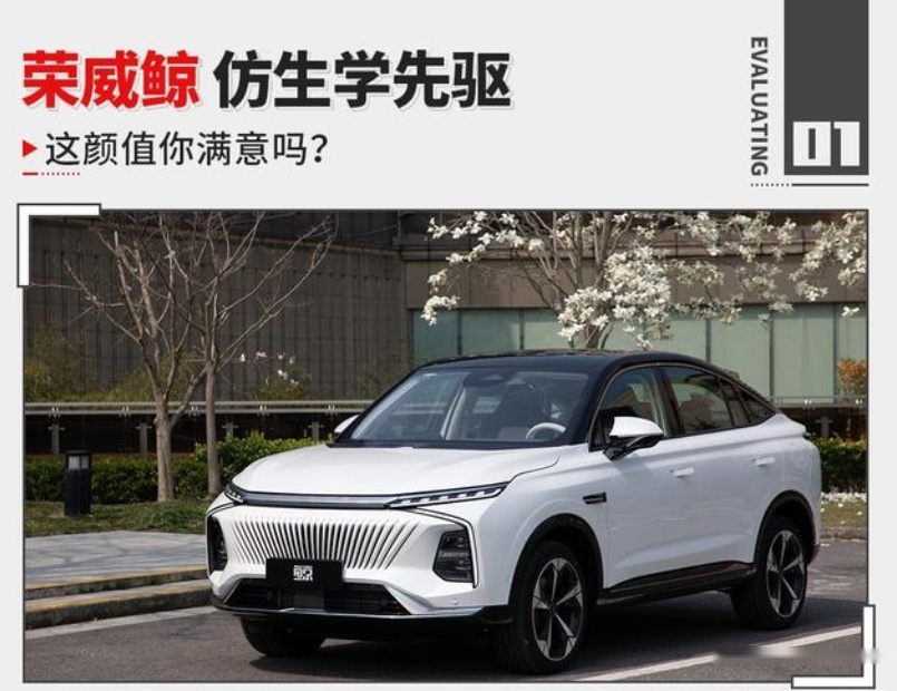 仿生学汽车前脸看起来像鲸鱼！荣威鲸是国产品牌之光？