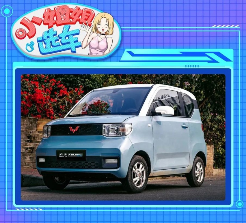 【小姐姐选车】五菱宏光MINI EV对比奇瑞小蚂蚁