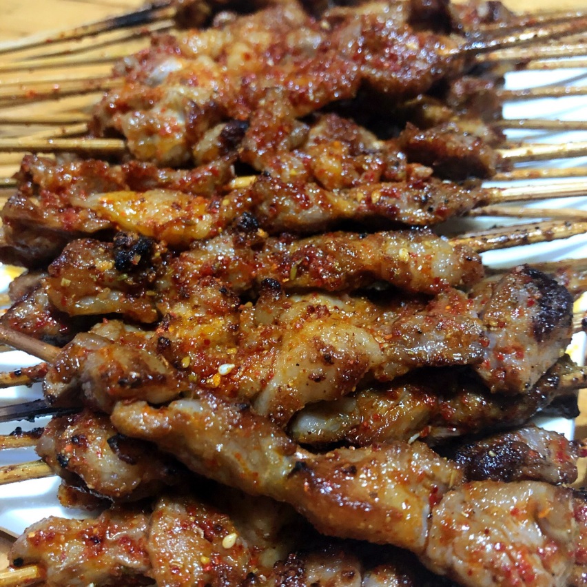 司有普游记：穿越腾格里沙漠
