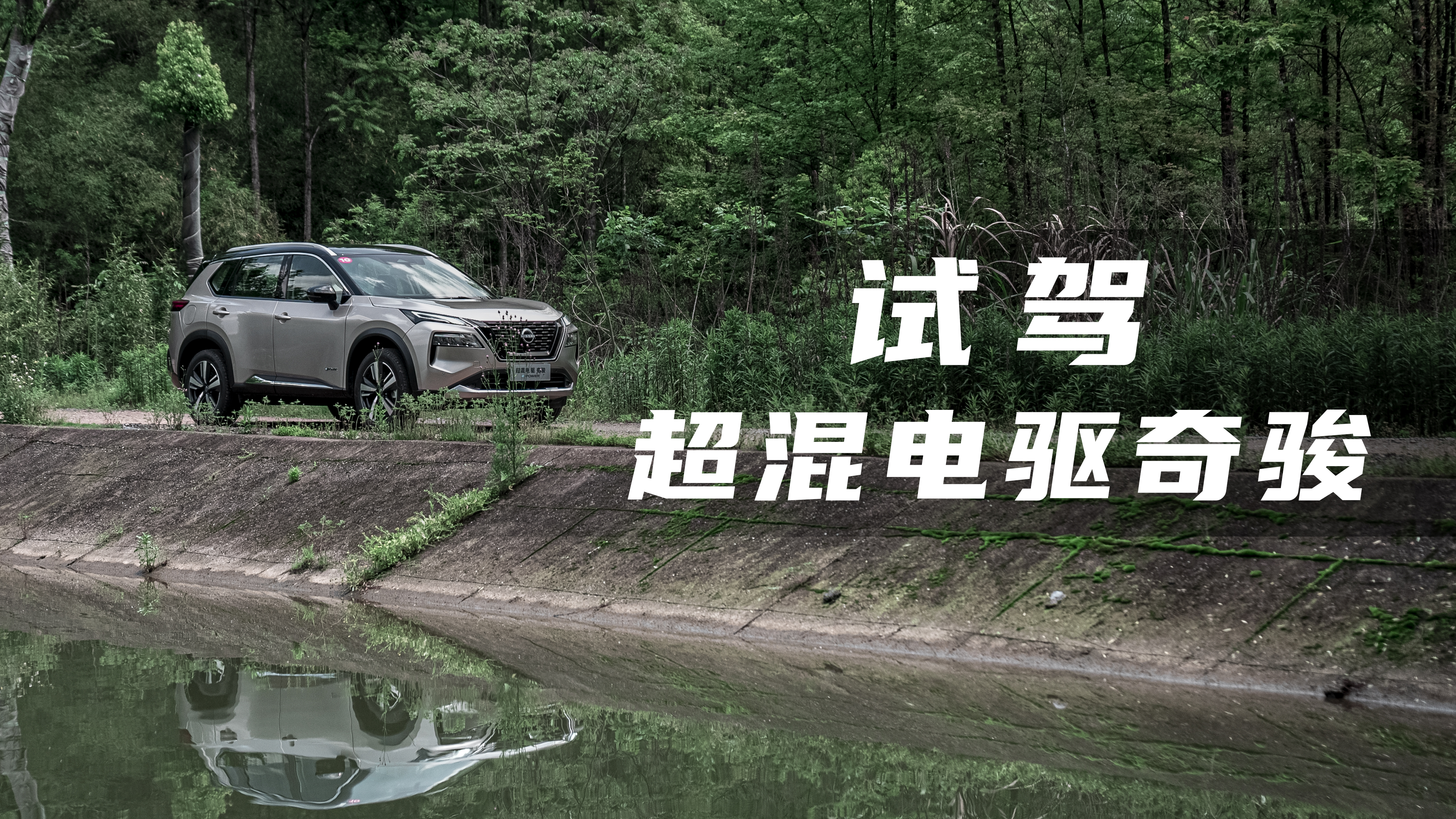 �ղ��ı�ս�� �Լݻ춯�濥