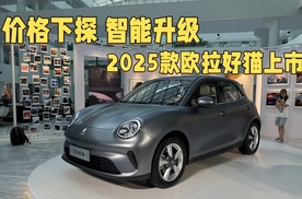 价格下探 智能升级 2025款欧拉好猫上市