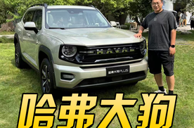 一条视频带你看全新大狗PLUS所有产品点