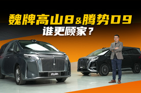 魏牌高山8对比腾势D9，宜商宜家MPV怎么选？