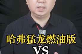 哈弗猛龙燃油版VS捷途旅行者