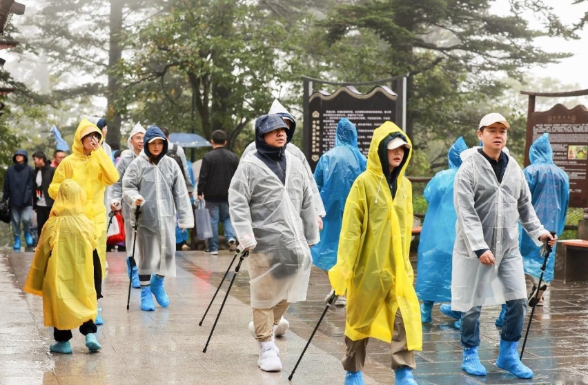 探山揽岳，峨眉登顶，一汽-大众逆势而上！