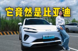 它竟然是比亚迪？