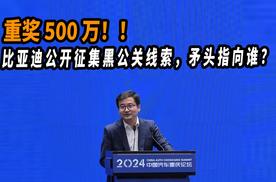 重奖500万！比亚迪公开征集黑公关线索，矛头指向谁？