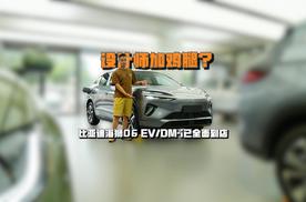 设计师加鸡腿？比亚迪海狮06 EV/DM-i已全面到店