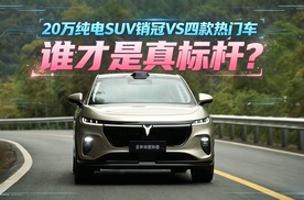 20万纯电SUV销冠VS四款热门车，谁才是真标杆？