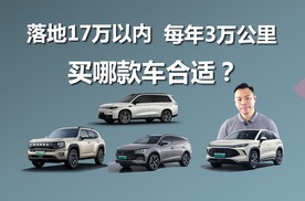 落地17万以内，每年3万公里，买哪款车合适