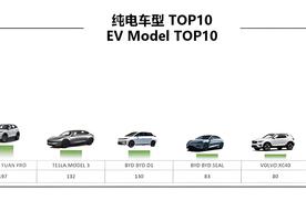 比亚迪领跑美洲新能源市场：多国销量口碑双丰收