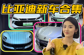 2024北京车展 比亚迪有哪些新车