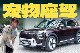 倡导宠物经济，如果车企做一辆“宠物座驾”…？