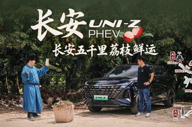 李善德看了直呼内行，送荔枝还得是“长安”呀