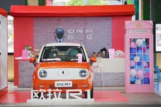 精挑细选后，可爱萌宠欧拉R1与时尚主播能擦出怎样的火花？