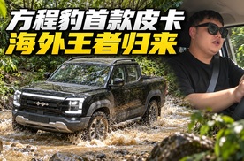 鲨鱼皮卡国内正式亮相！豹5同DMO平台的鲨鱼皮卡这次会有多少惊喜？