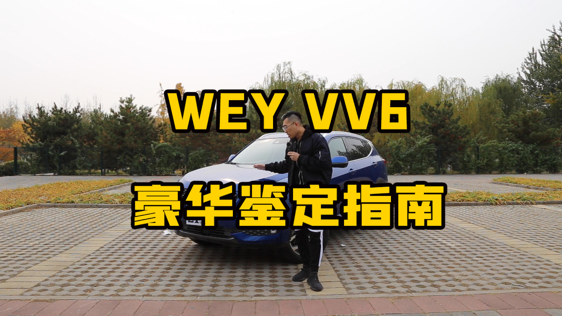  2020WEY VV6ָ