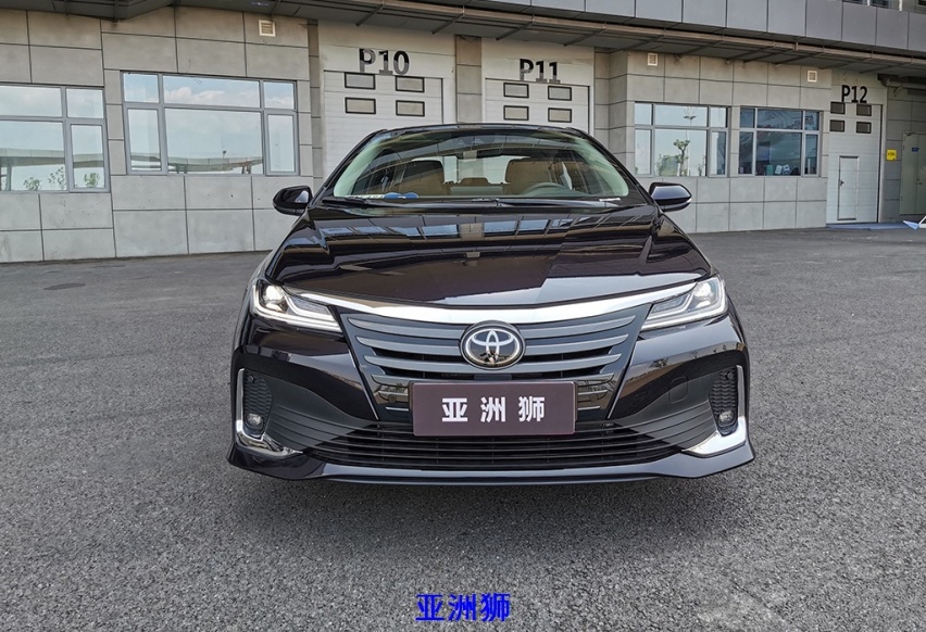 潮流青年遇到居家暖男 明锐PRO对比亚洲狮