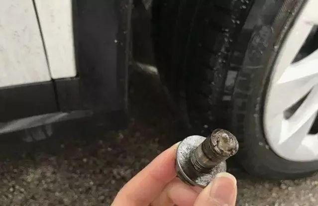 眼睛张在头顶的特斯拉 终于也必须承认召回了