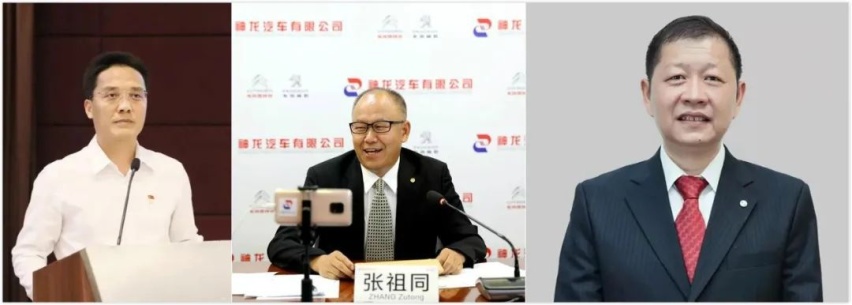杨青张祖同陈彬“三人组”把脉，神龙能否睡龙变飞龙？