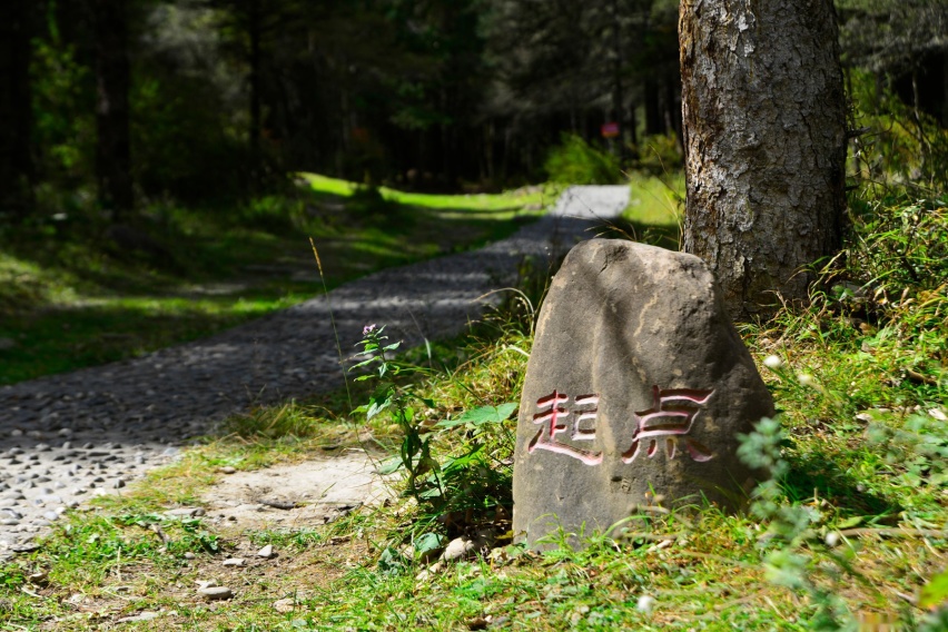 重走长征路，再次翻越大雪山，秋天季节里的夹金山原来这么美