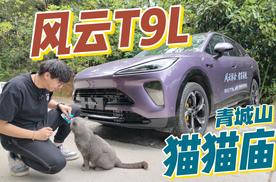 青城山有座“猫猫庙”，风云T9L带你来打卡