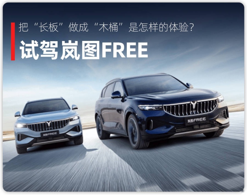 30万买大5座SUV，配置拉满还带空气悬挂，试驾岚图FREE