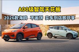 A00级智驾天花板！2026款海鸥：不画饼，实车到店即开享