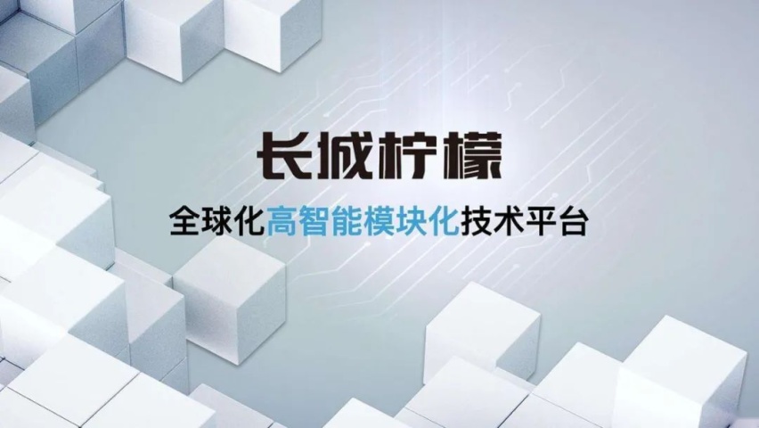 一个半月股价翻一番，长城汽车为何被资本市场看好？