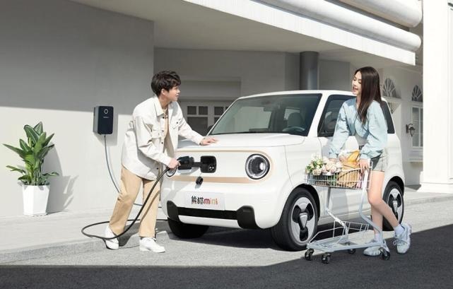 3.99万元起的吉利熊猫mini，能靠快充+64寸天幕反超五菱MINI