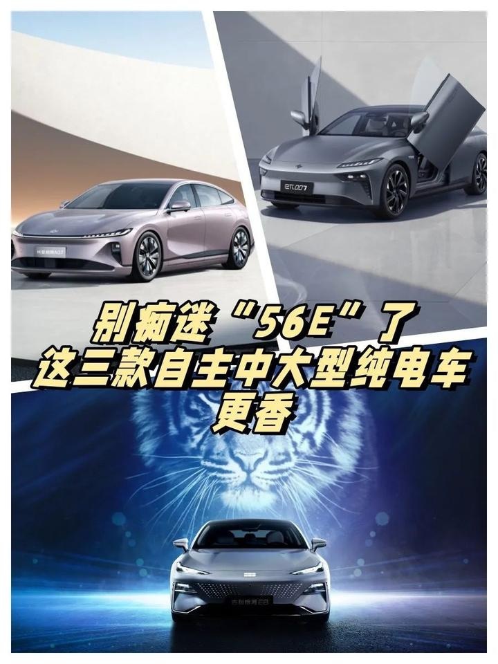 别痴迷“56E”了，这三款自主中大型纯电车更香！