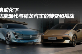 电动化下，北京现代与神龙汽车的转变和挑战