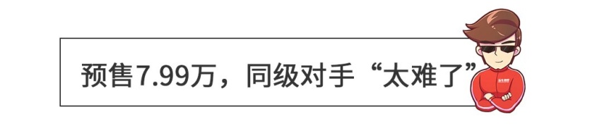 比你大还比你便宜，预售7.99万起，这SUV太欺负人了