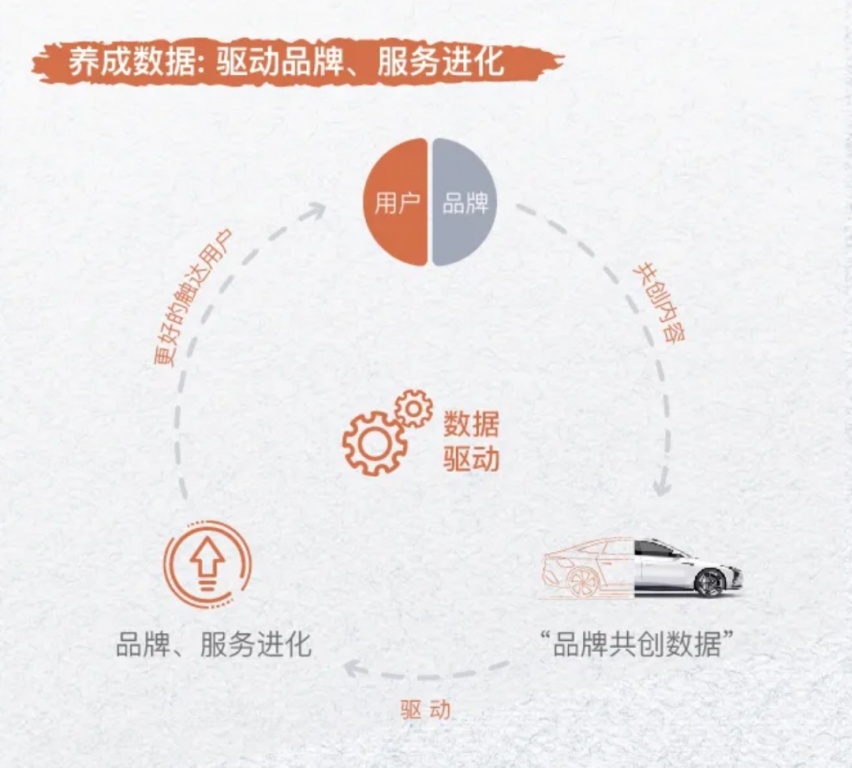 养成数据.png