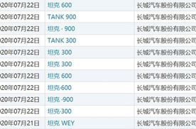 专属LOGO曝光，WEY坦克或独立，坦克600/900将到来