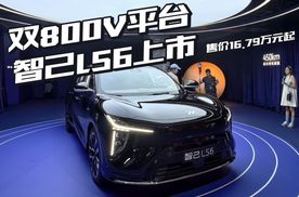 纯电续航超450km，还有灵蜥数字底盘，标配后轮转向！卖爆了