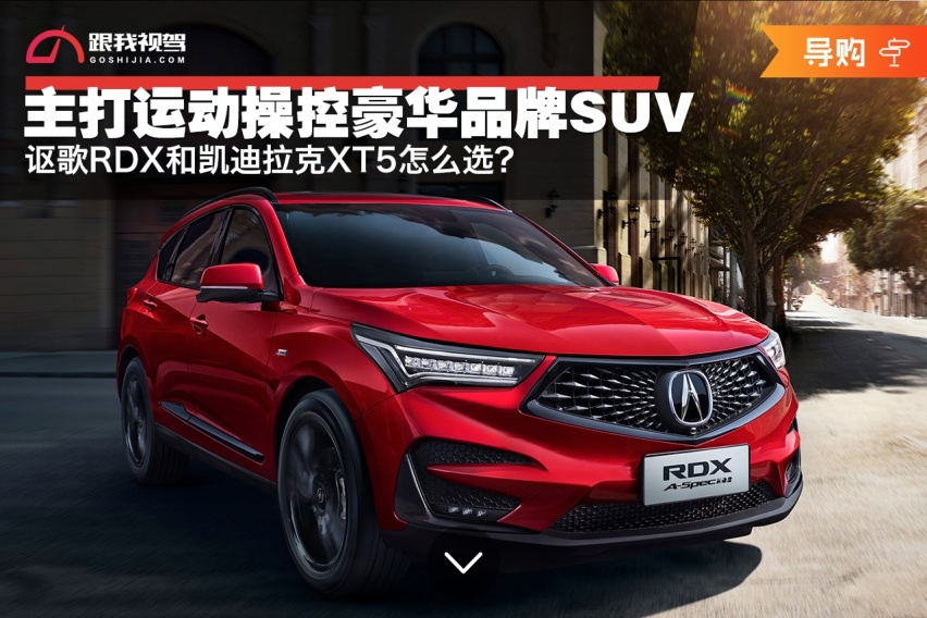 主打运动操控豪华品牌SUV 讴歌RDX和凯迪拉克XT5怎么选