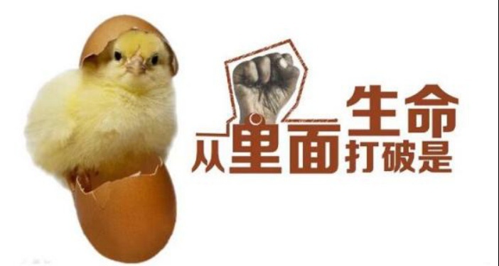 9月7日 车市供求关系将更趋合理化 蛋壳终是要从内部打破