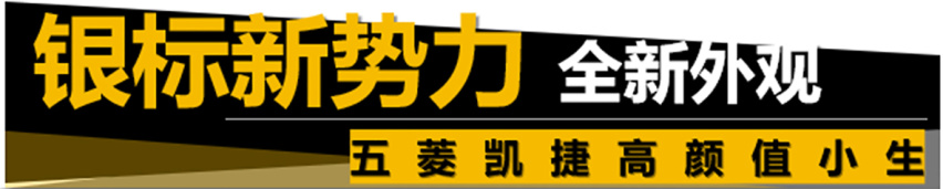 【帮你选车】5座、6座、7座不稀奇，“大四座”见过没？