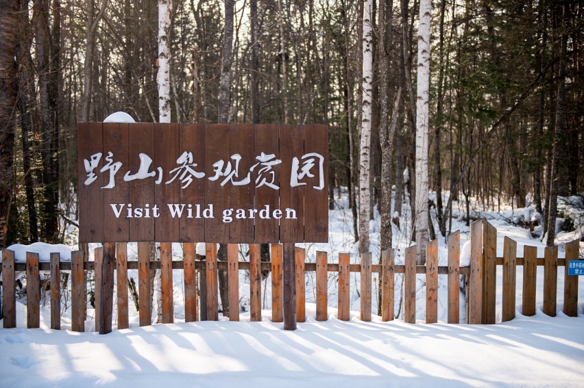 北京X7极限冰雪之旅——边境景观大道打卡长白山