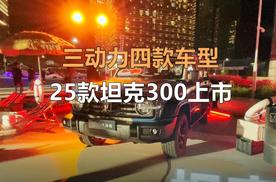 三动力四款车型，2025款坦克300上市