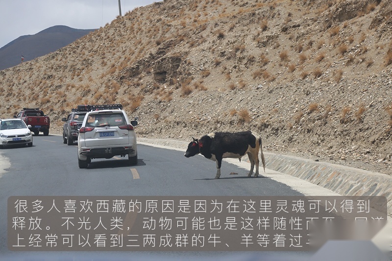 于无声处的震撼  随长城炮探珠峰深处