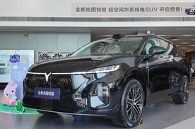 探店：静态实拍全新岚图知音