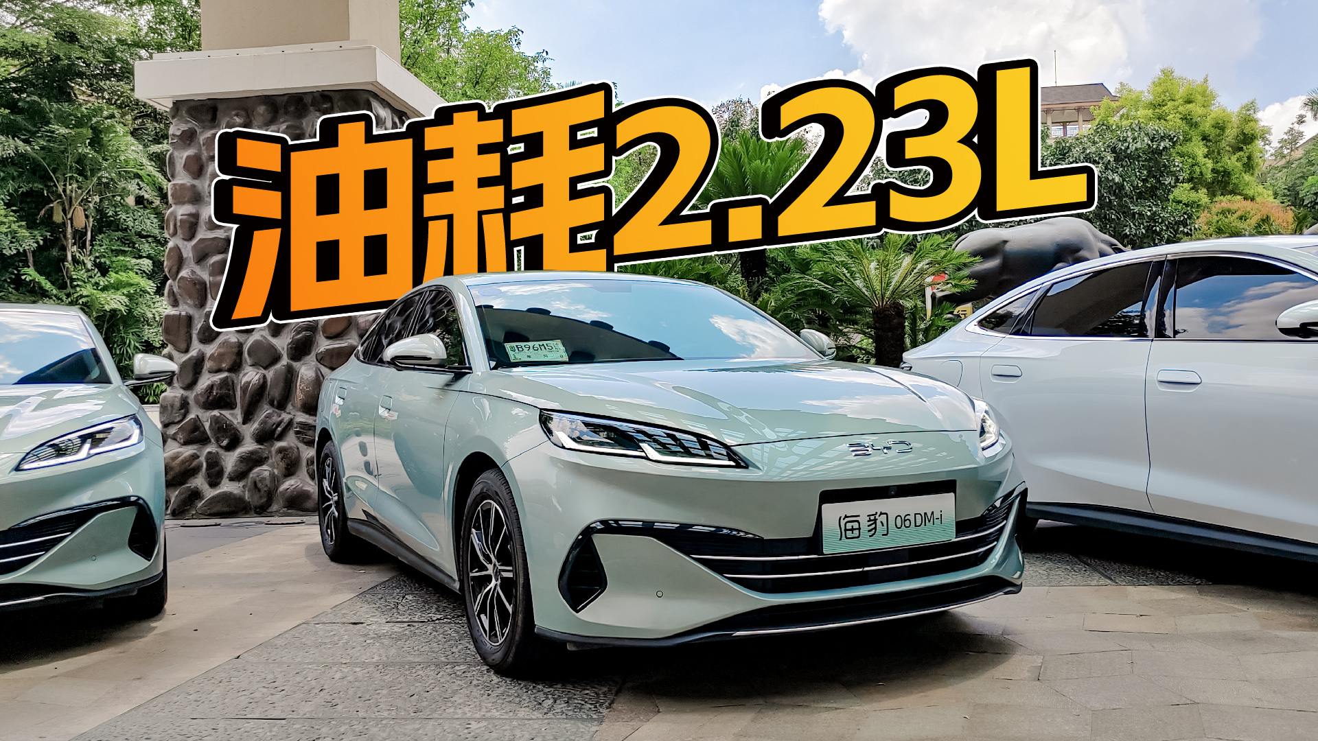 ٹͺ2.23L06 DM-iܺĳʡ