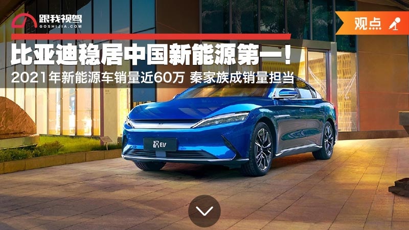 比亚迪稳居中国新能源第一！新能源车销量近60万 秦家族成销量担当