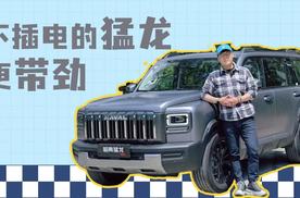 城市通勤+周末撒野，哈弗猛龙燃油版全都能