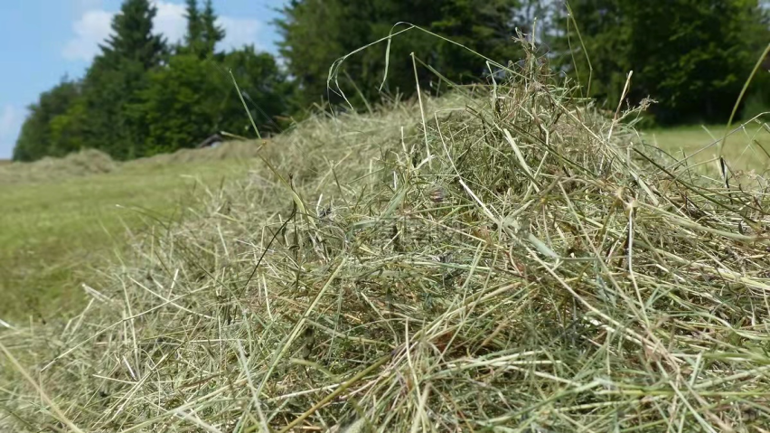 临近夏天，送大家一本防自燃“秘籍”
