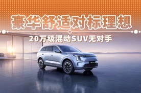 豪华舒适对标理想 20万级混动SUV无对手